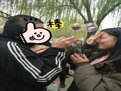D8BA